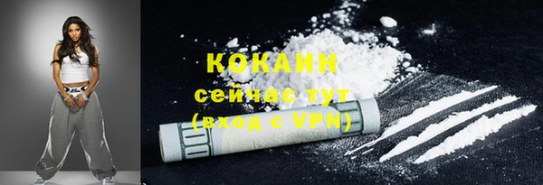 твердый Заводоуковск