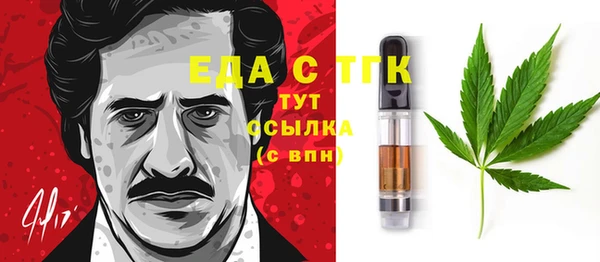 твердый Заводоуковск