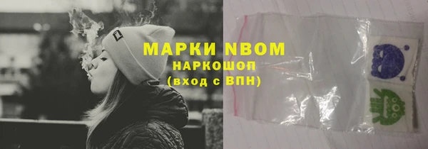 твердый Заводоуковск