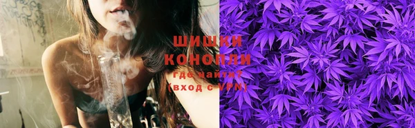 твердый Заводоуковск