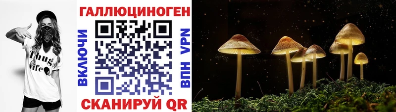 Купить где  Зерноград  Галлюциногенные грибы MAGIC MUSHROOMS 