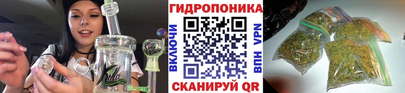 Купить закладки  Зерноград  Конопля план 